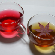 JAPANESE MAPLE LEAF TEA